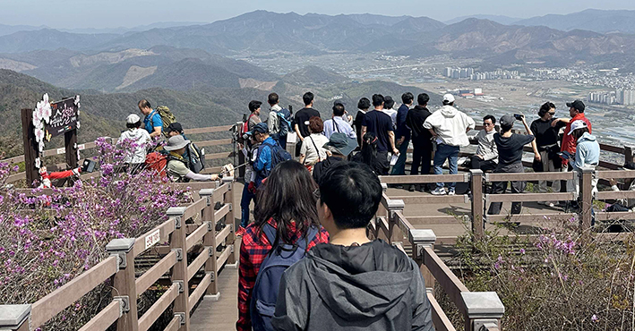 밀양시 상남면, ‘제15회 종남산 진달래축제’ 성황리 개최